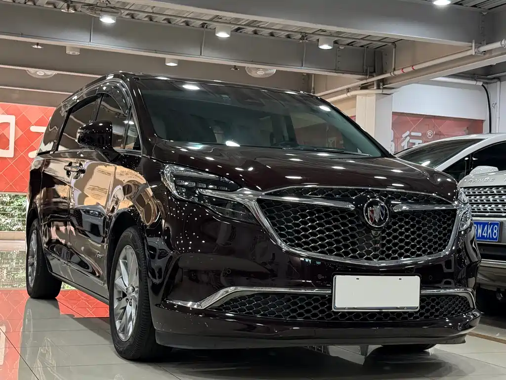 Buick GL8 — миниатюра 3