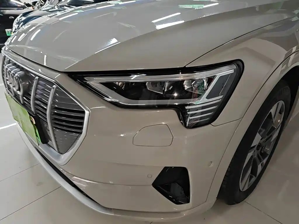 Audi e-tron (Import) — миниатюра 24