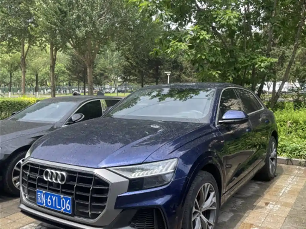Audi Q8 2019 55 TFSI
