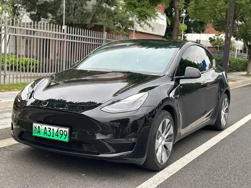 Tesla Model Y — миниатюра 3