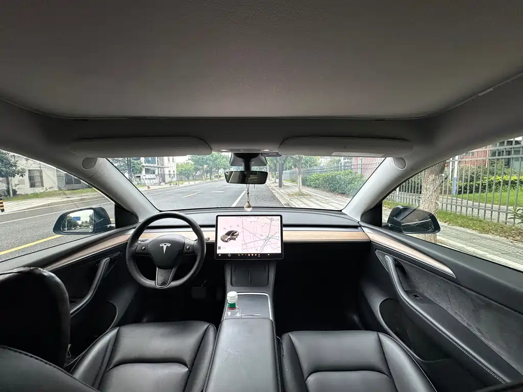 Tesla Model Y — миниатюра 7