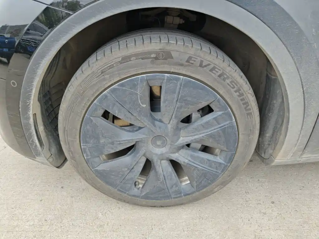 Tesla Model Y — миниатюра 23