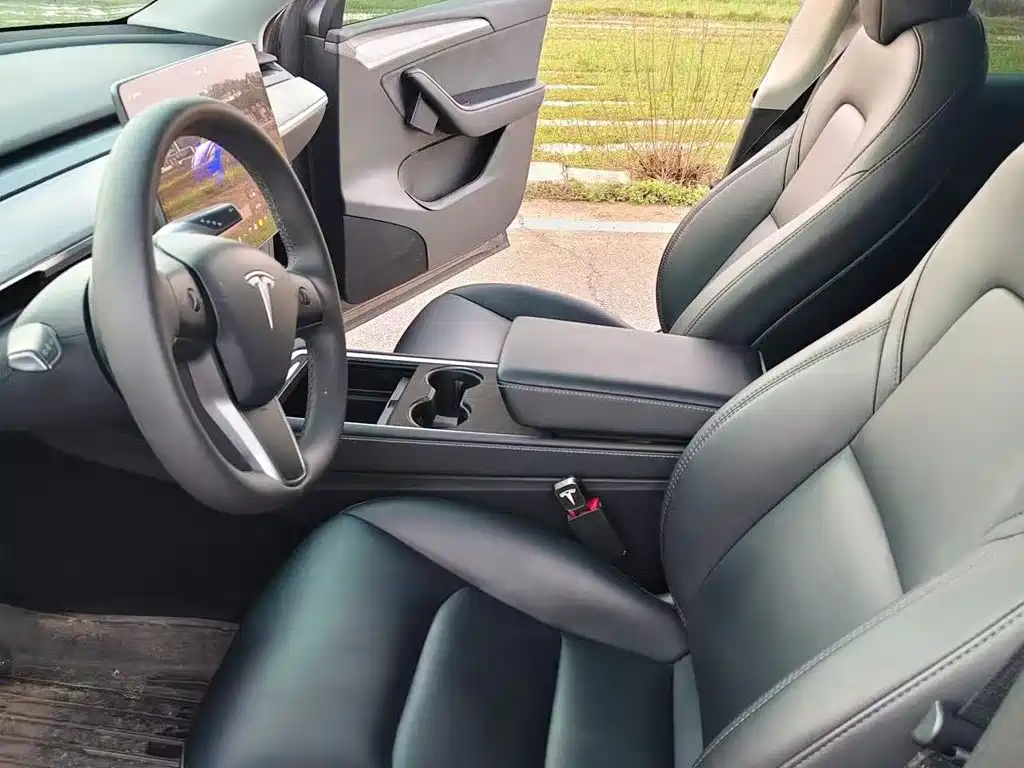 Tesla Model Y — миниатюра 5