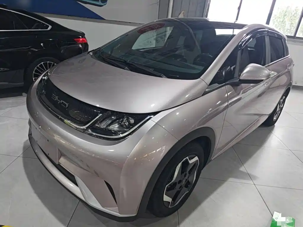 BYD Dolphin — миниатюра 2