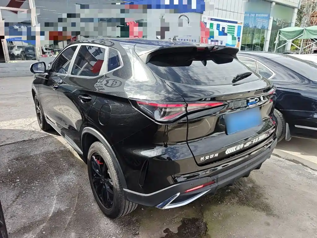 Oshan Oushang X5 PLUS — миниатюра 5