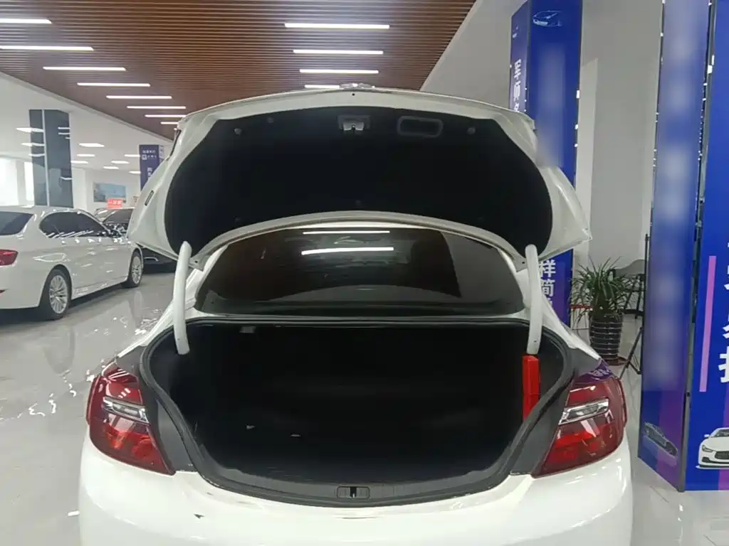 Buick Regal — миниатюра 19