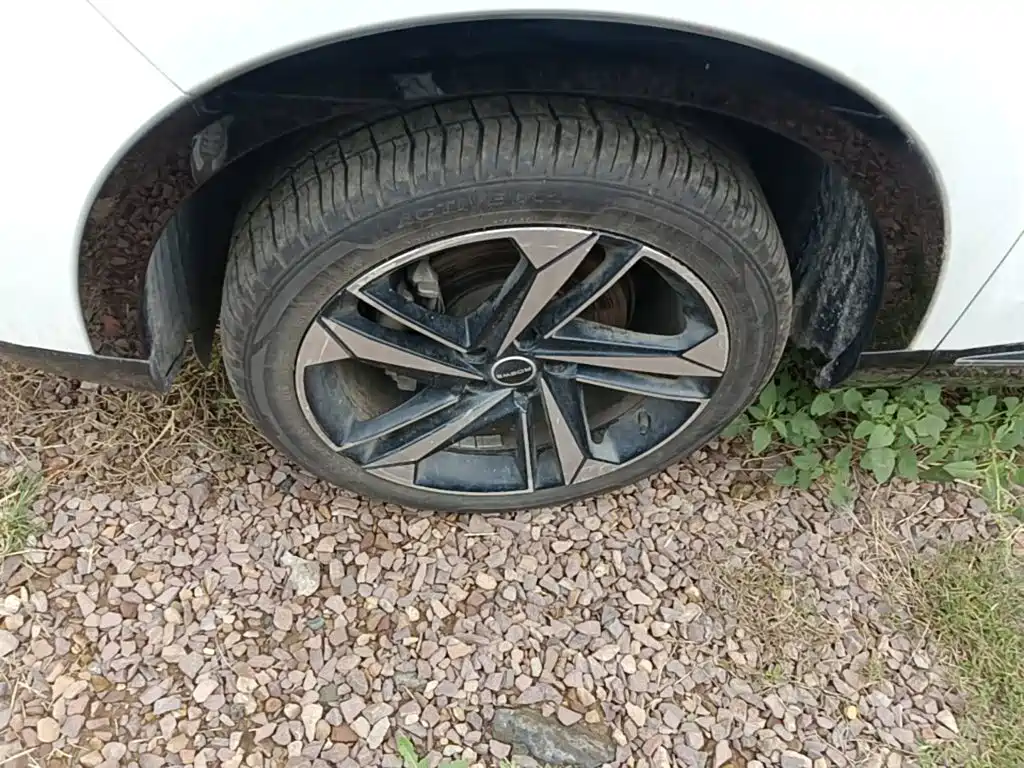 Roewe RX5 MAX — миниатюра 23