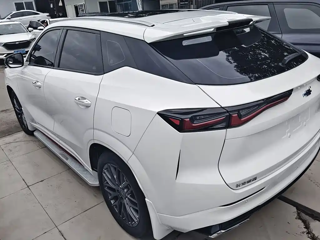 Oshan Oushang Z6 — миниатюра 15
