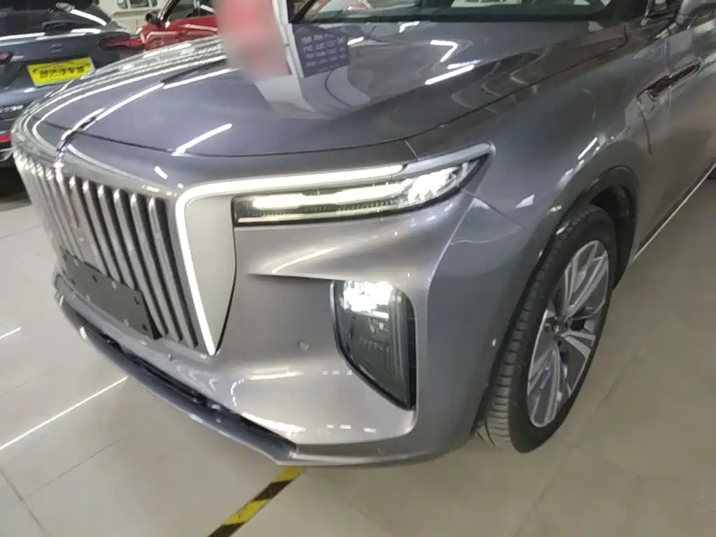 Hongqi Hongqi E-HS9 — миниатюра 24