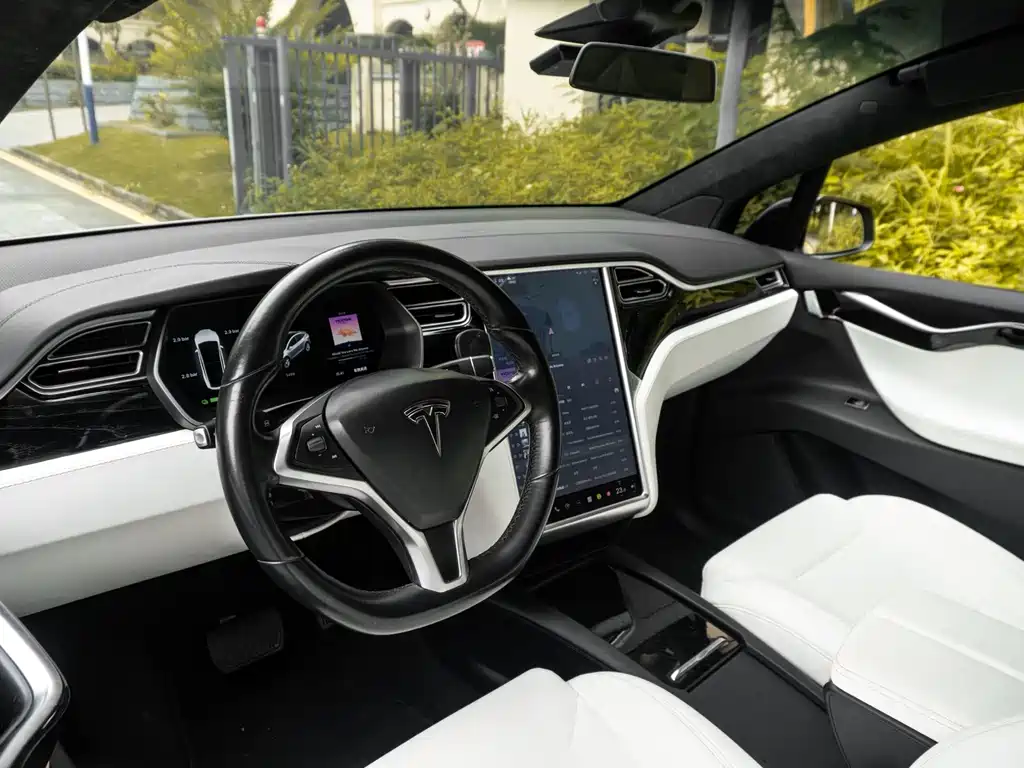 Tesla Model X 2017 Model X 100D