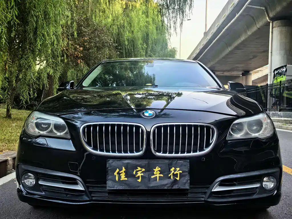 BMW 5 Series — миниатюра 5