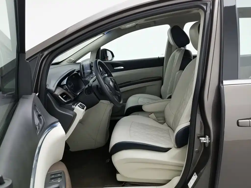 Buick GL8 — миниатюра 10