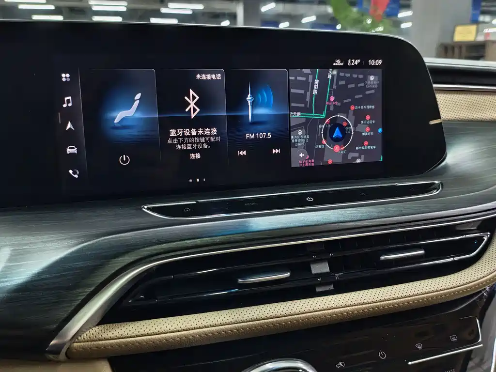 Buick GL8 — миниатюра 14