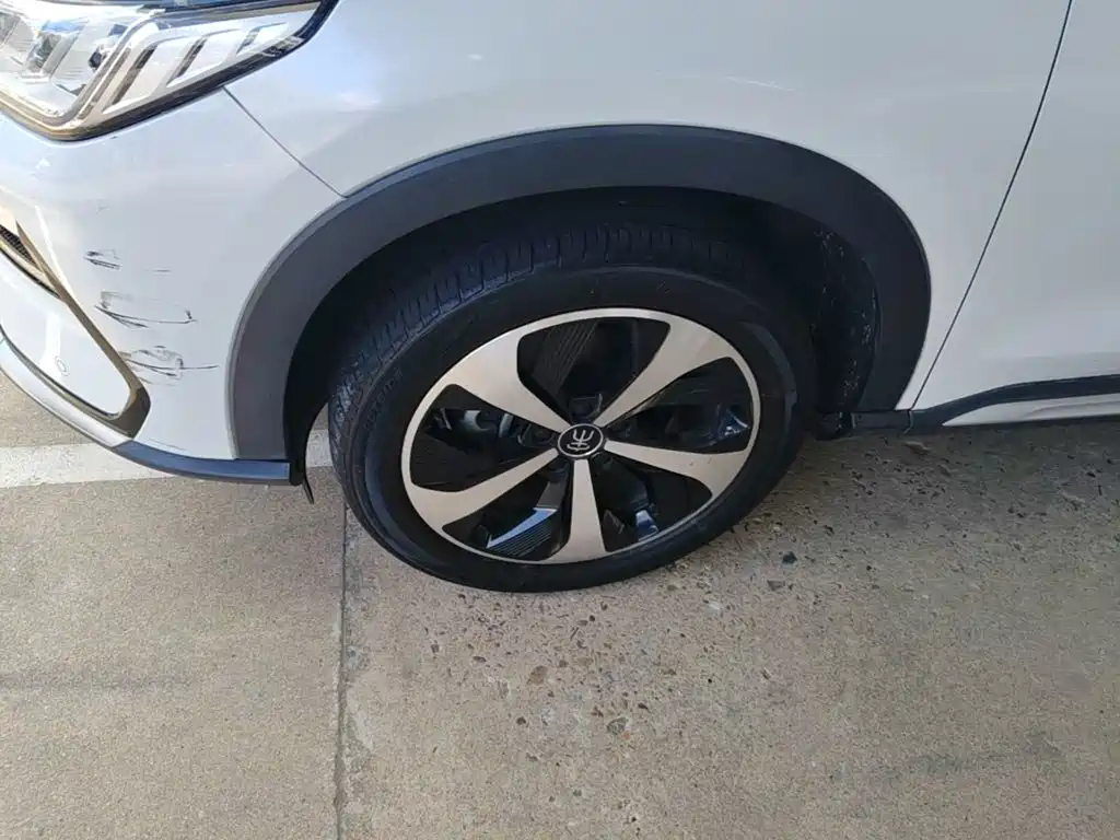 BYD PLUS New Energy — миниатюра 23