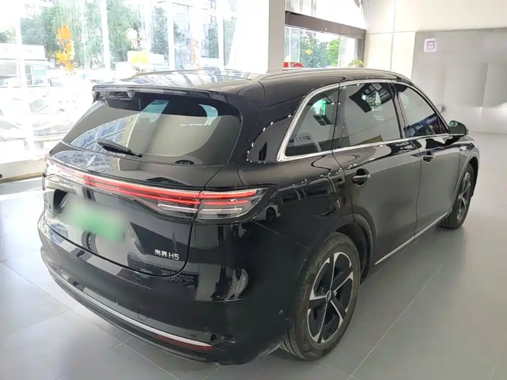 Shangjie Shangjie H5 — миниатюра 7