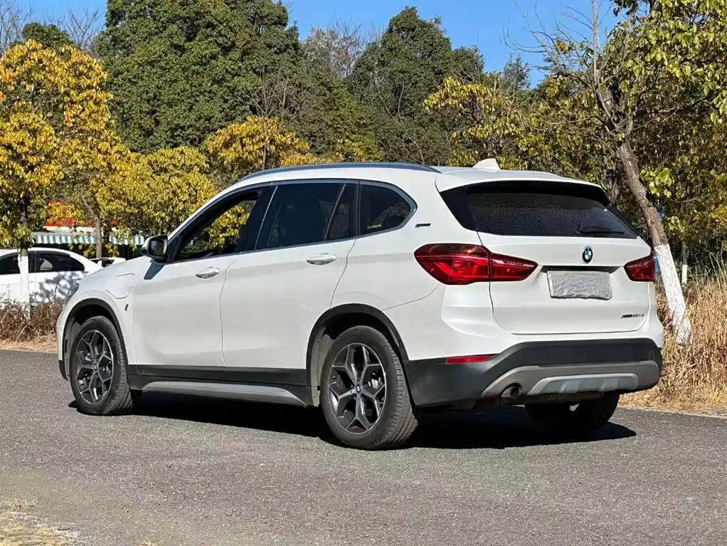 BMW X1 NEW ENERGY