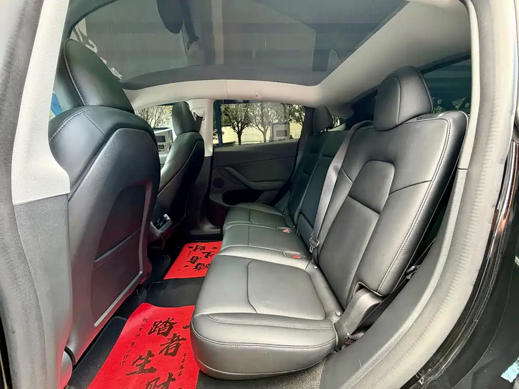 Tesla Model Y — миниатюра 10