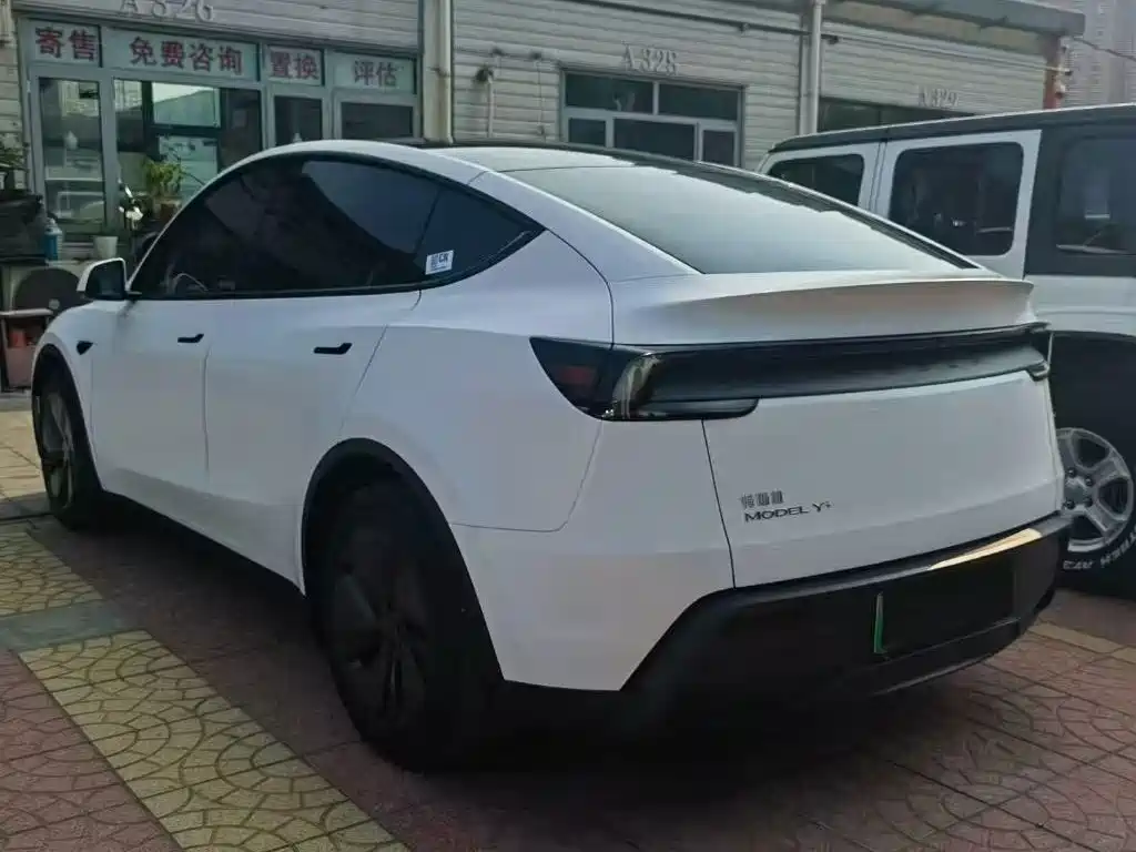 Tesla Model Y — миниатюра 7