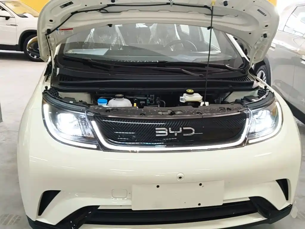 BYD Dolphin — миниатюра 20