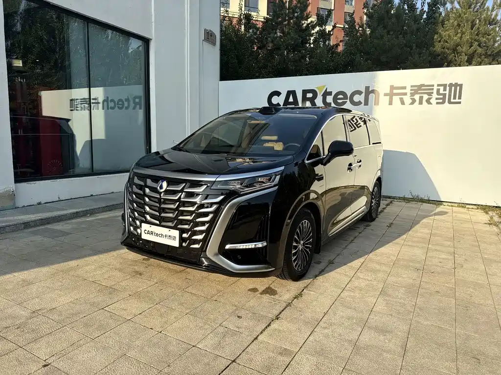 Denza Denza D9