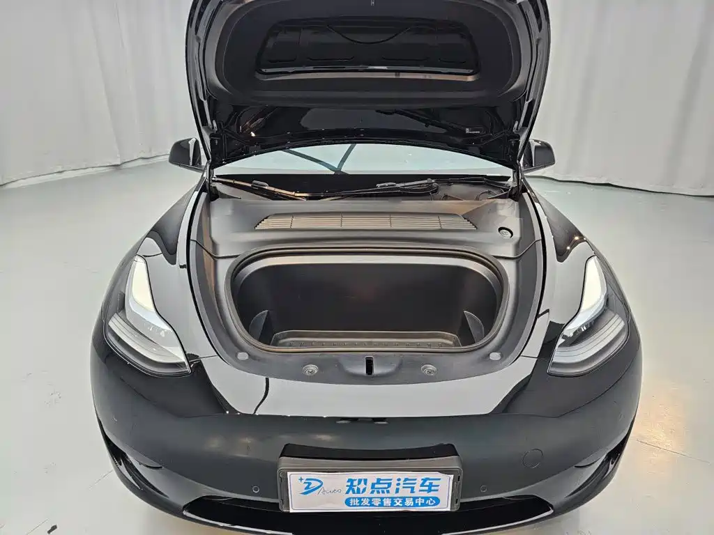 Tesla Model Y — миниатюра 10