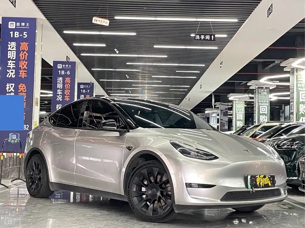 Tesla Model Y — миниатюра 3