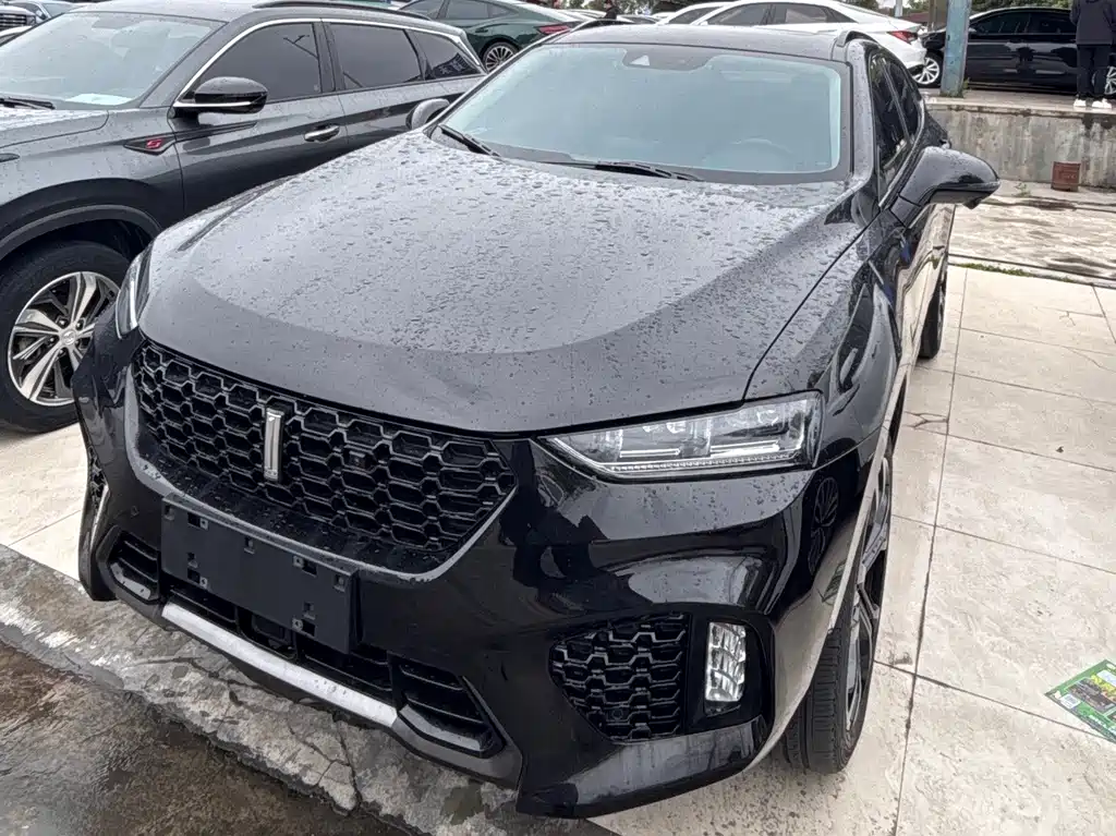 Wey Wey VV7 2019