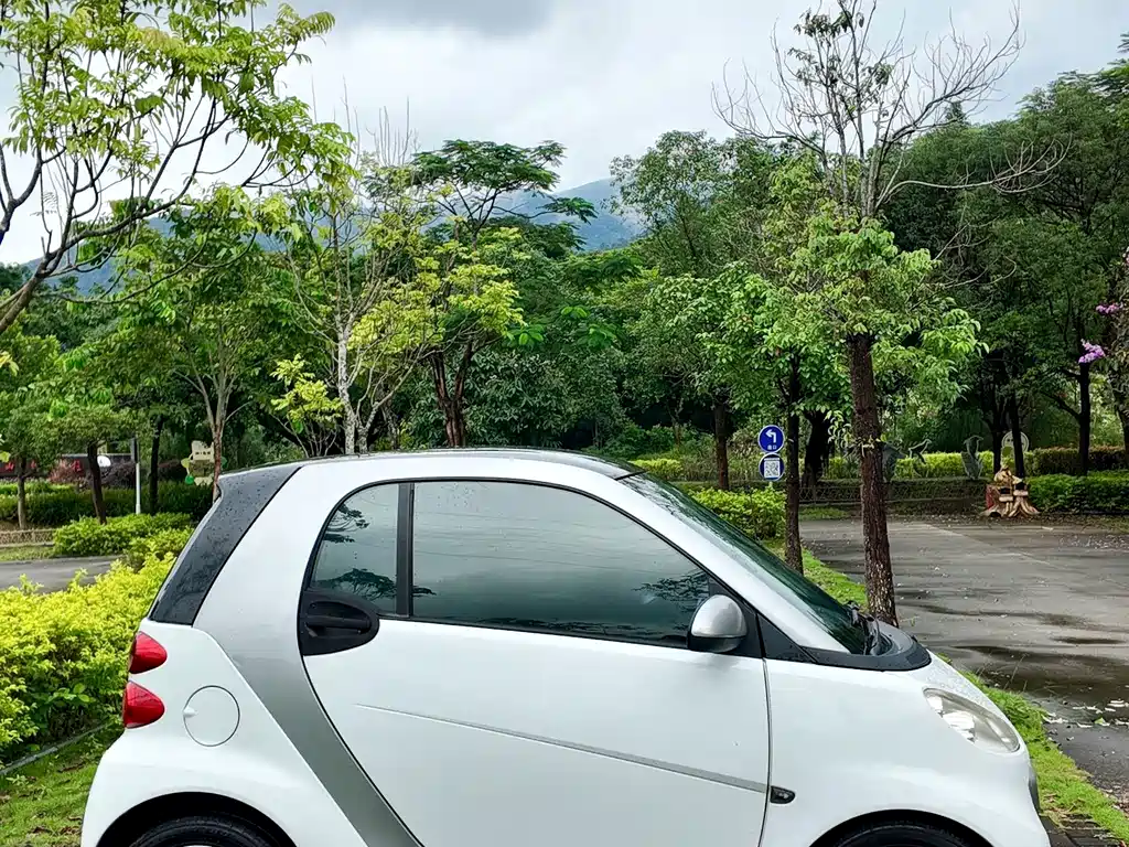 smart Smart Fortwo — миниатюра 53