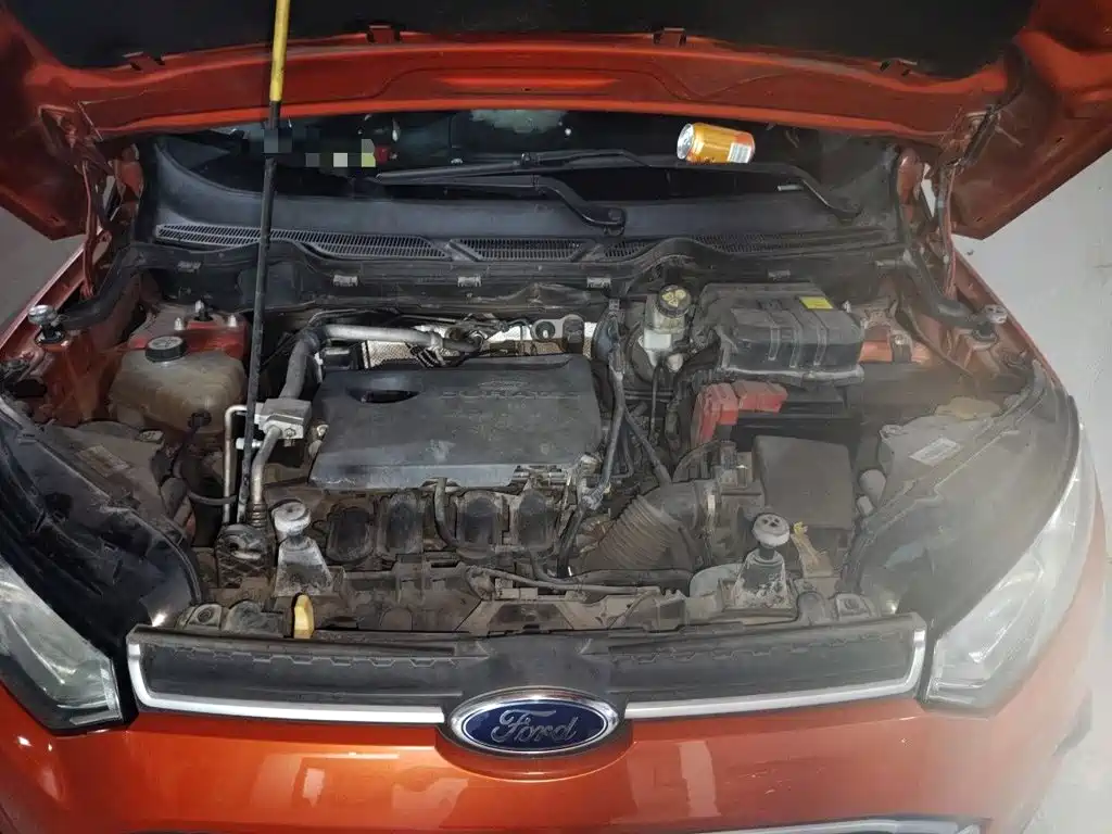 Ford Ecosport — миниатюра 11