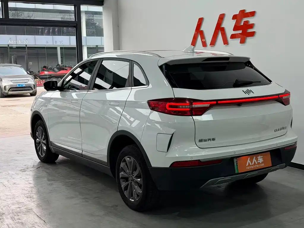 WM Motor EX5 — миниатюра 20