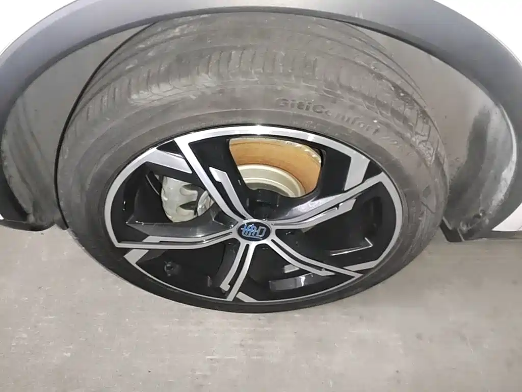 BYD Tang New Energy — миниатюра 23