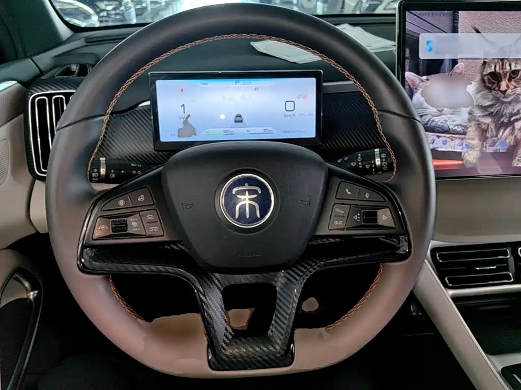 BYD Pro New Energy — миниатюра 11