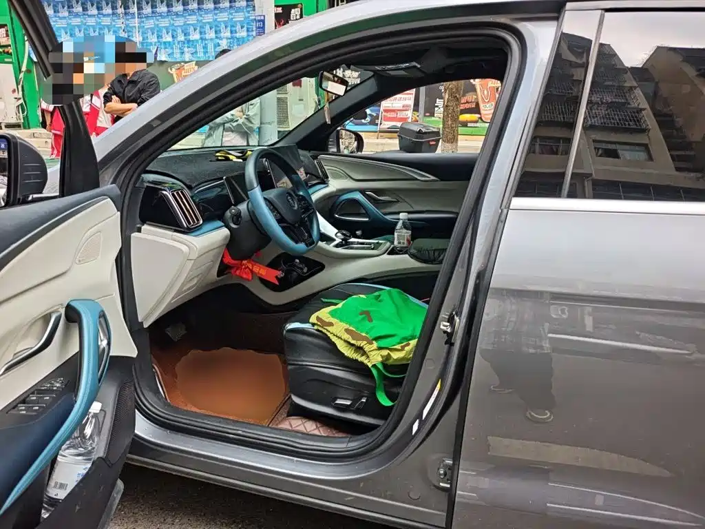 BYD Pro — миниатюра 11