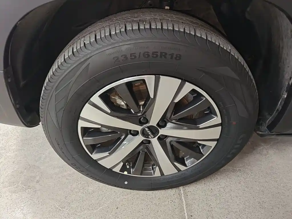 Haval Big Dog — миниатюра 23