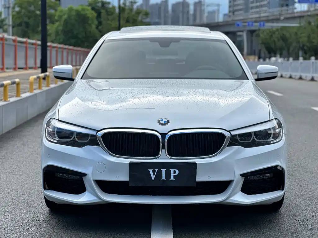BMW 5 Series 5 2019 525Li M Sport