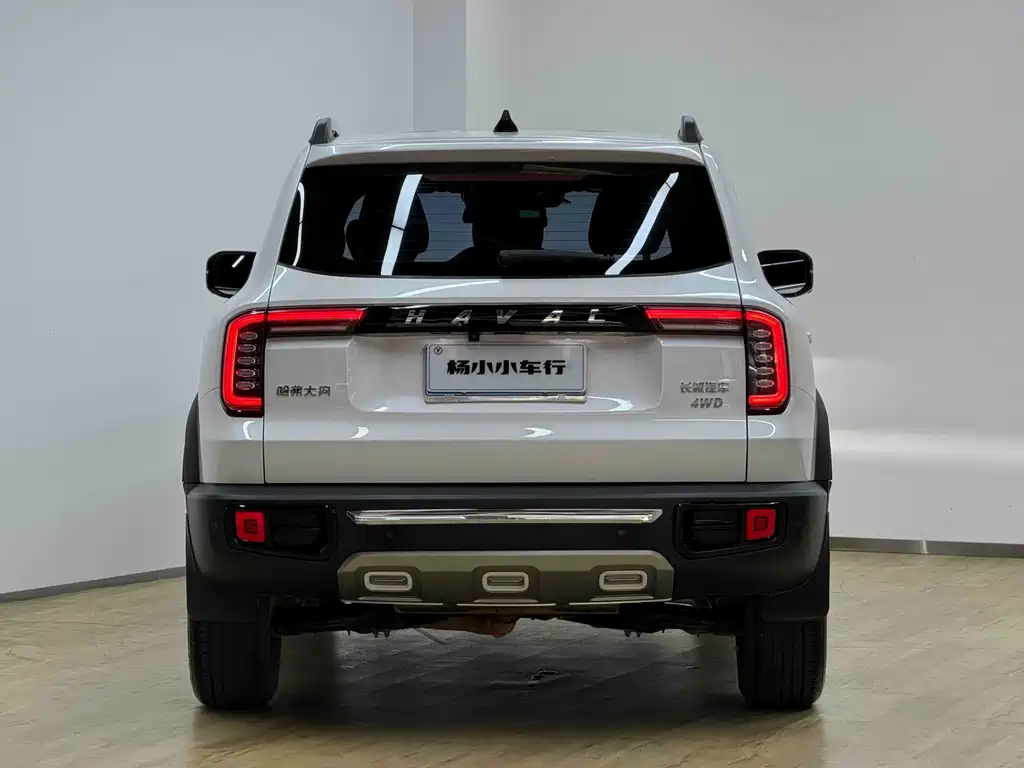 Haval Big Dog — миниатюра 26