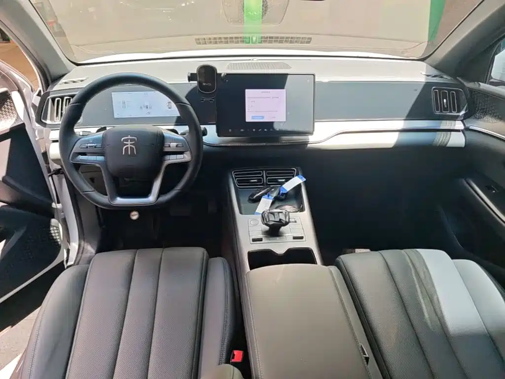 BYD Pro New Energy — миниатюра 10