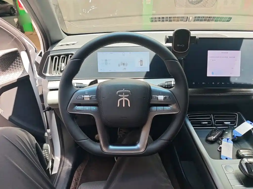 BYD Pro New Energy — миниатюра 11