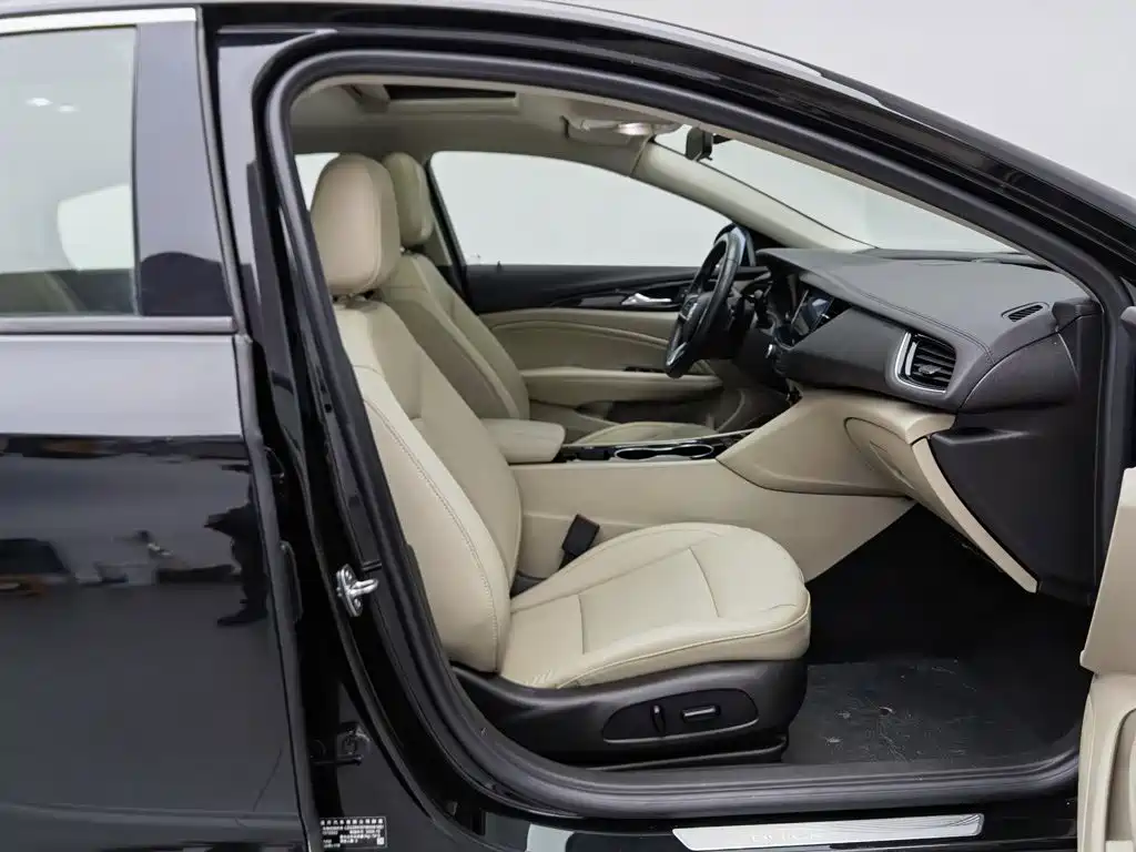 Buick Regal — миниатюра 23