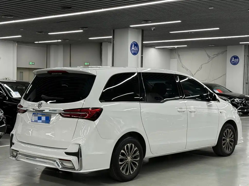 Buick GL8 — миниатюра 14