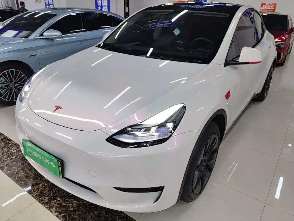 Tesla Model Y — миниатюра 2