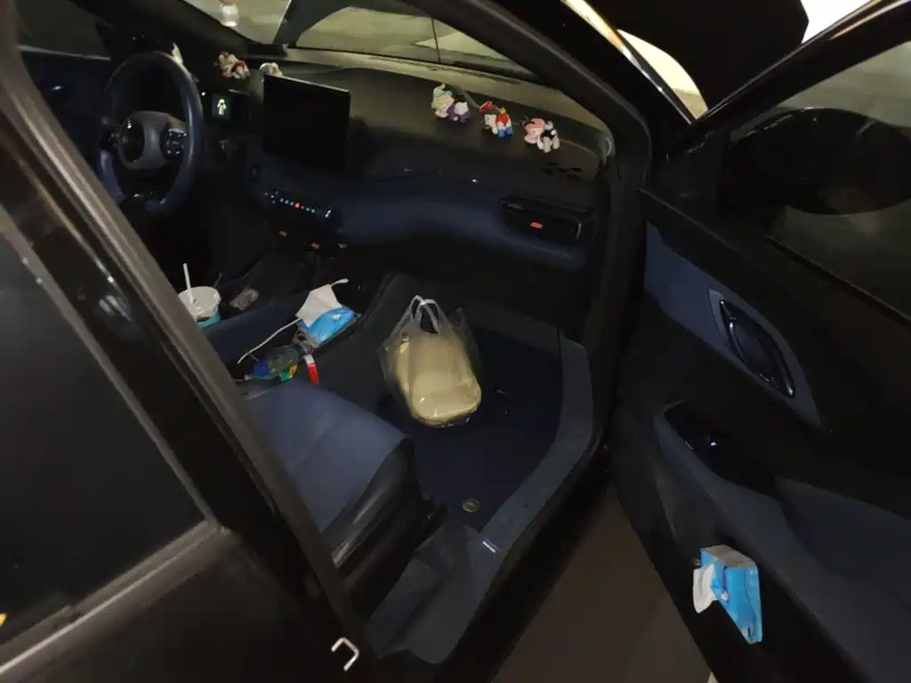 BYD Seagull — миниатюра 19