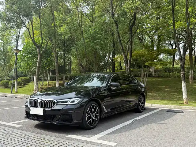 BMW 5 SERIES