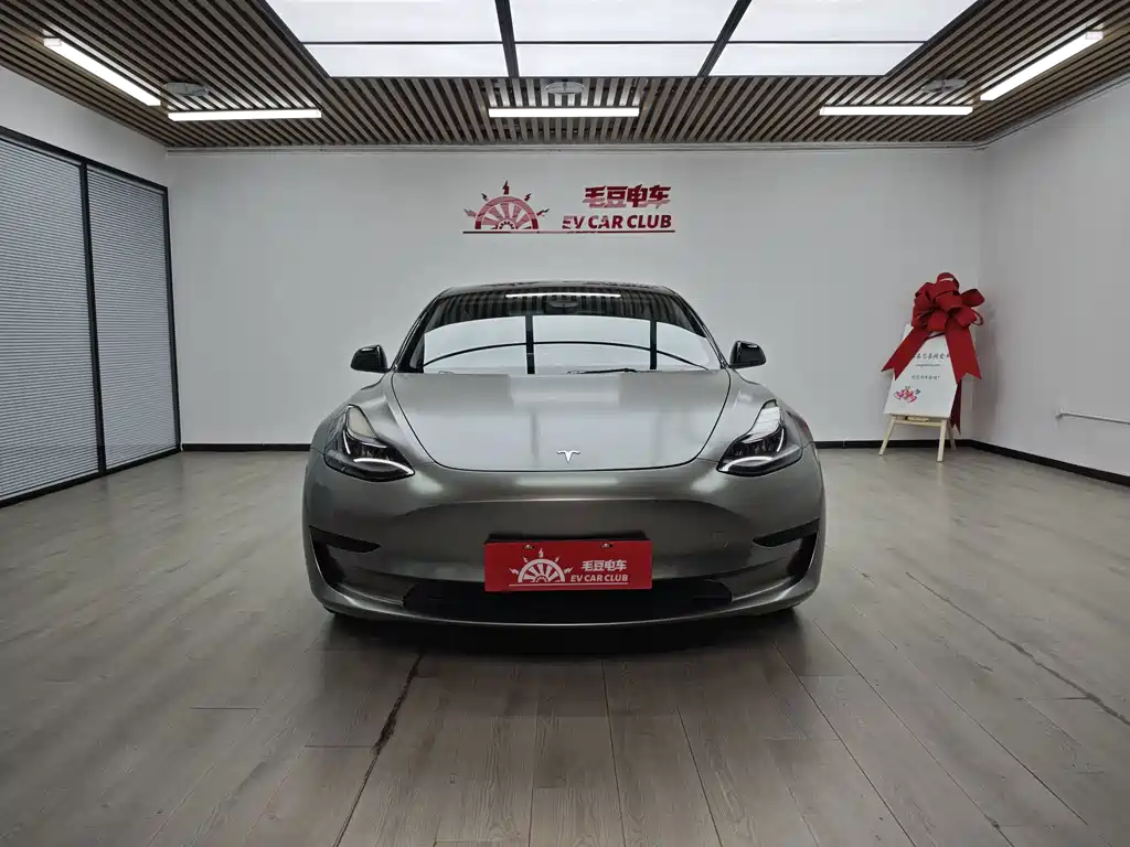Tesla Model 3 — миниатюра 3
