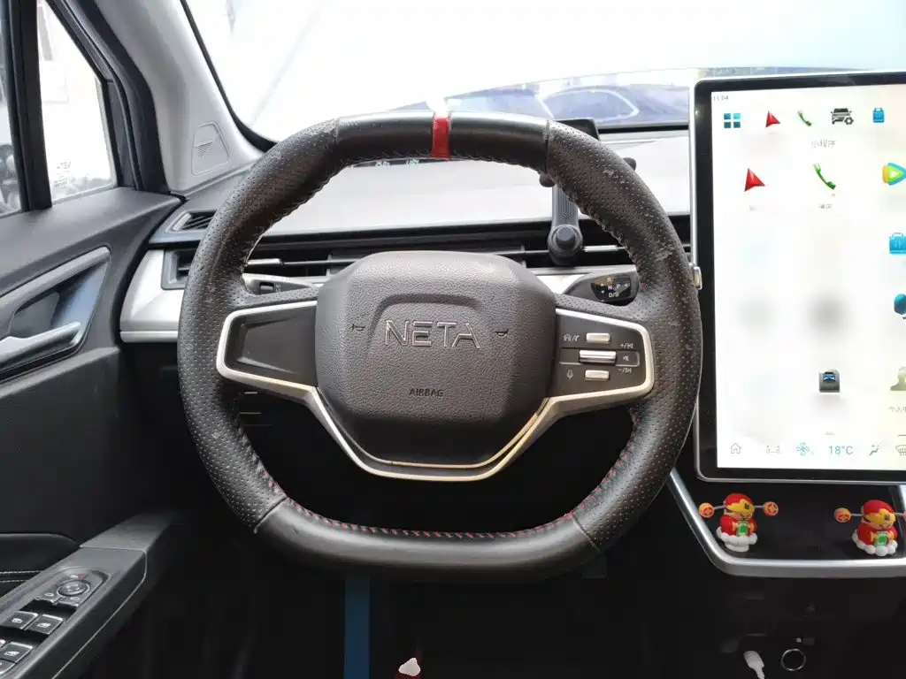Neta Neta V — миниатюра 6