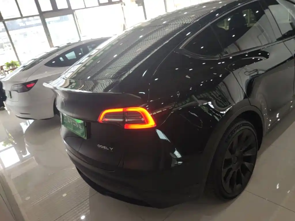 Tesla Model Y — миниатюра 6
