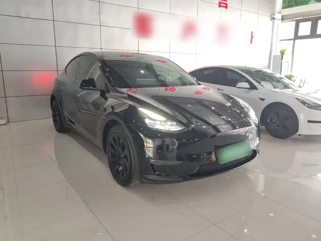 Tesla Model Y — миниатюра 4
