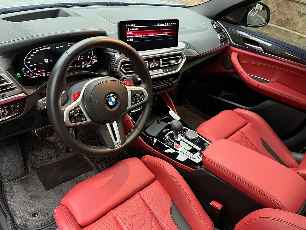 BMW X4 M X4 M Thunder Edition, фото 6