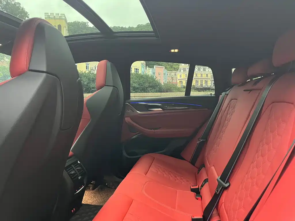 BMW X4 M X4 M Thunder Edition, фото 8