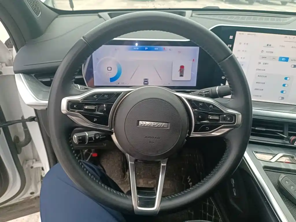 Haval Shenshou — миниатюра 11